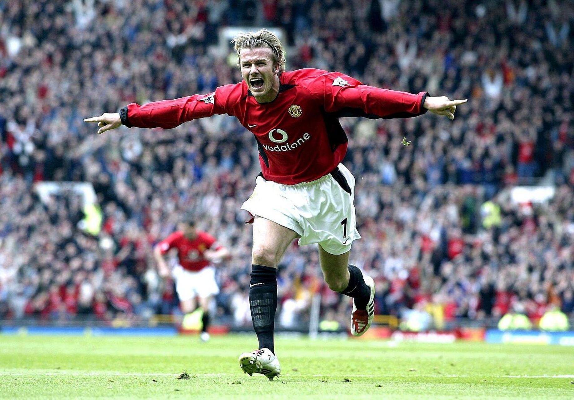 不可忽视的 不可忽视的